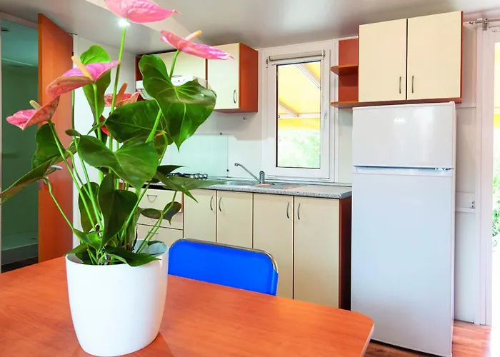 Agricamping Ca' Bodi Veneto 캠프장 *